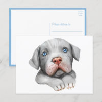 Lindo perro Pit Bull Pittie Cachorro Amor Hola Pit