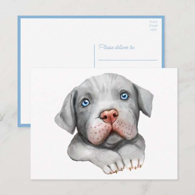 Postal Lindo perro Pit Bull Pittie Cachorro Amor Hola Pit (Anverso / Reverso)