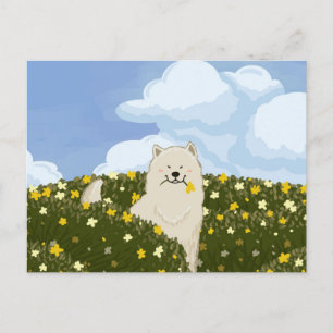 Postal Lindo perro Samoyed en campo de flores amarillas (