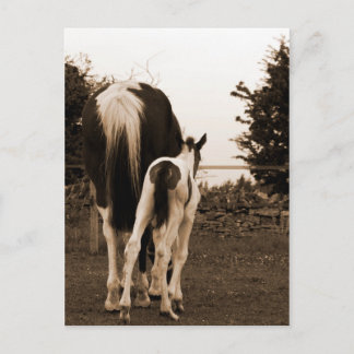 Postal lindo trasero