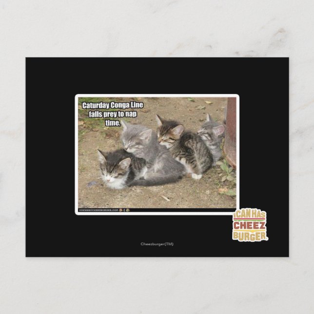 Postal Línea Caturday Conga (Anverso)