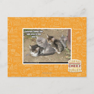 Postal Línea Caturday Conga