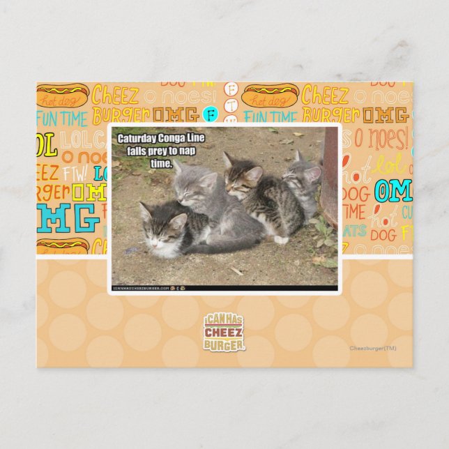 Postal Línea Caturday Conga (Anverso)