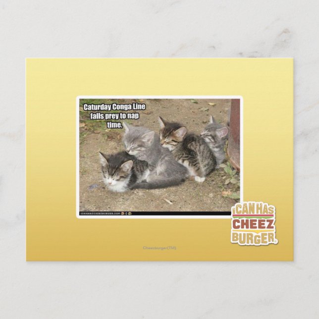 Postal Línea Caturday Conga (Anverso)