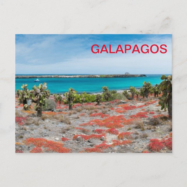 Postal Línea costera de las Galápagos (Anverso)