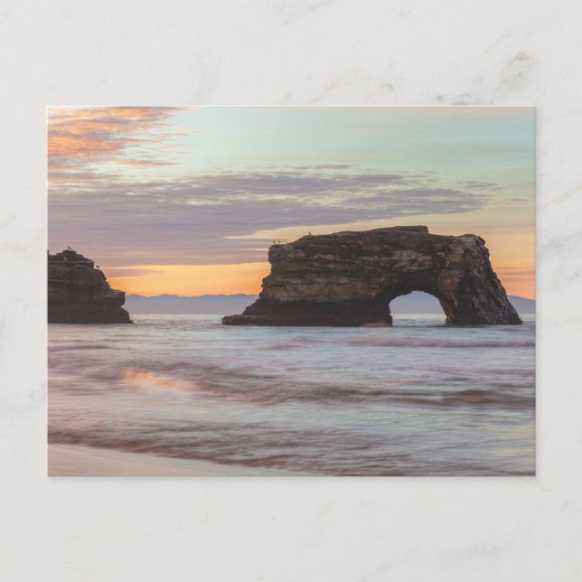 Postal Línea costera Natural Bridges Santa Cruz de Califo (Anverso)