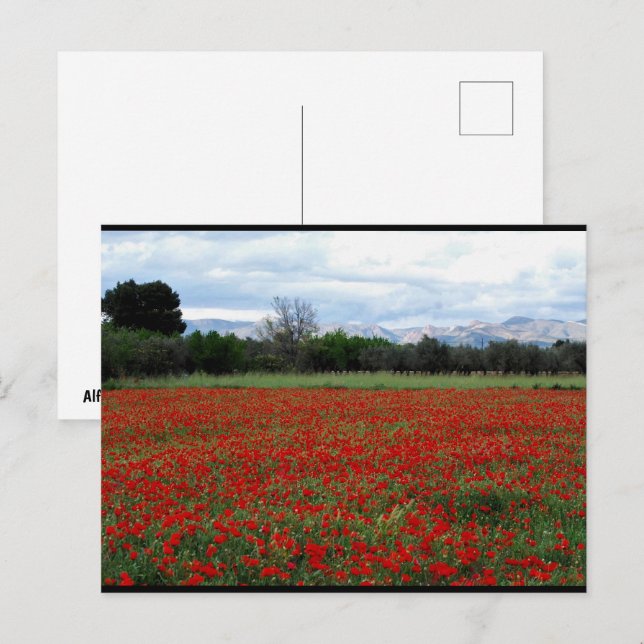 Postal Línea de árboles en campo de amapolas (Anverso / Reverso)