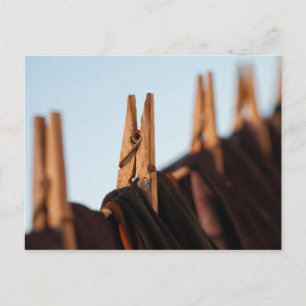 Postal Línea de lavado