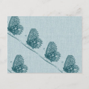 Postal Línea de mariposas