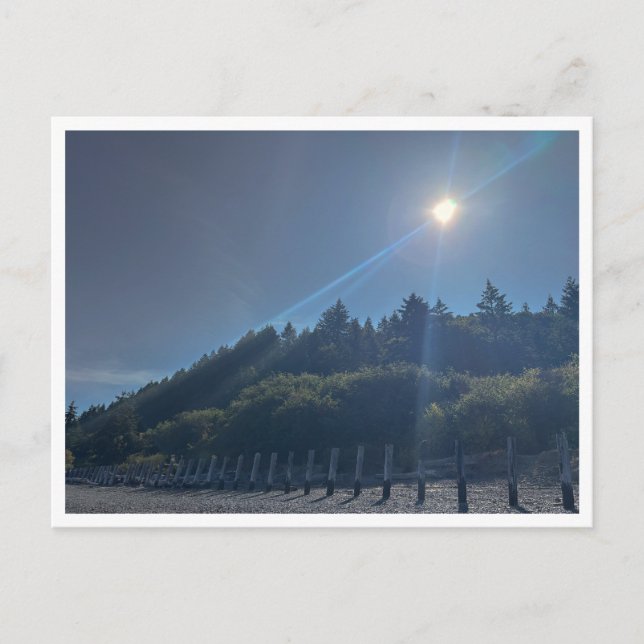 Postal Línea de navegación (Anverso)