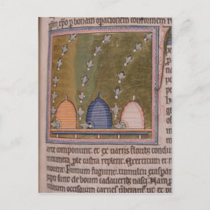 Postal Líneas curvadas del bestiario tres