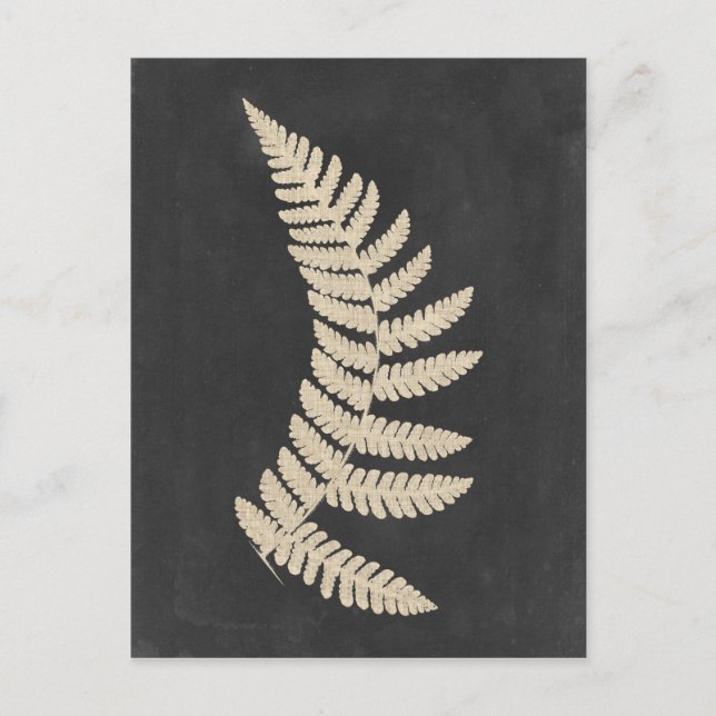 Postal Linen Fern (Anverso)