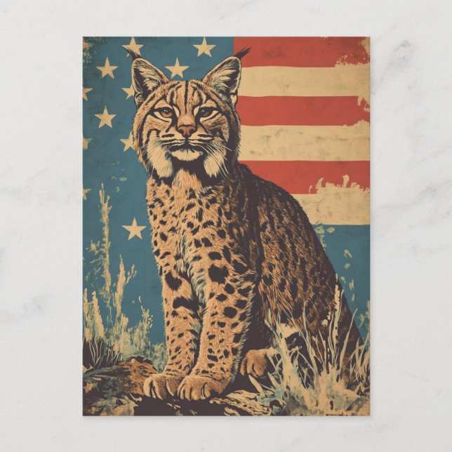Postal Linx American Flag vintage (Anverso)