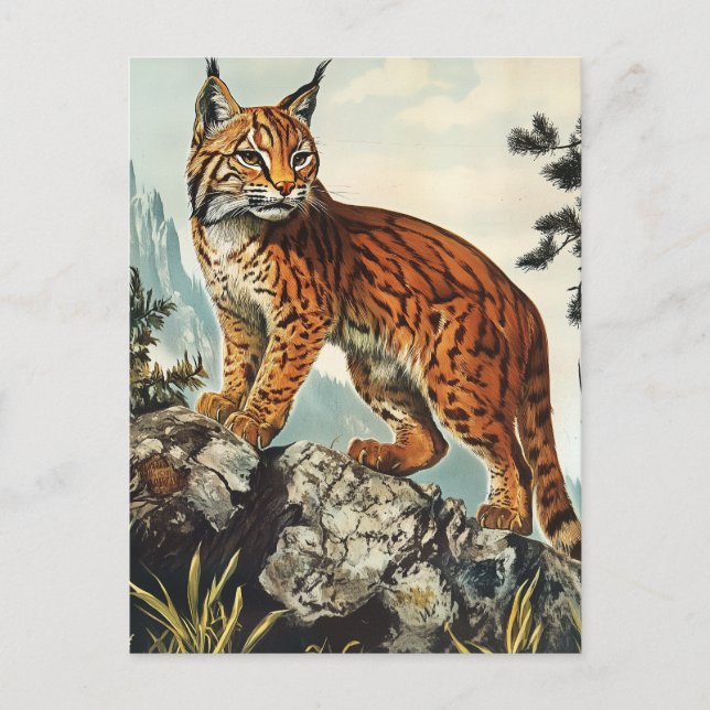 Postal Linx vintage (Anverso)