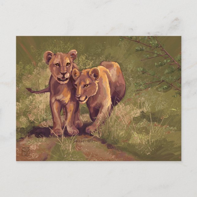Postal Lion Cubs (Anverso)