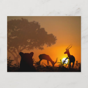 Postal Lion Hunt