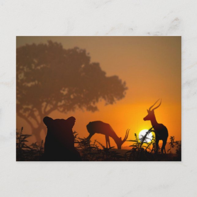 Postal Lion Hunt (Anverso)