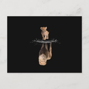 Postal Lion Life Lion Love King Lion