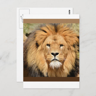 Postal Lions Head Postcard