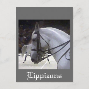 Postal Lippizons 2009