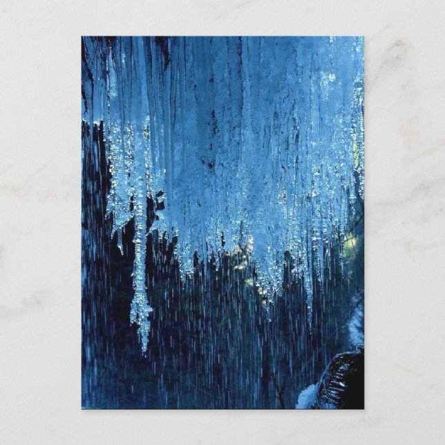 Postal Liquidado (Anverso)