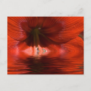 Postal Líquido rojo