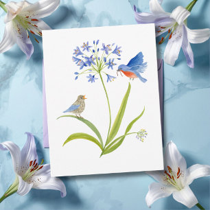 Postal Lirio Africano con Madre e Hijo de Pájaro Azul