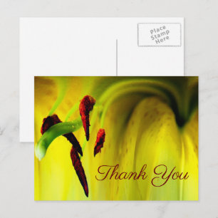 Postal Lirio Amarillo Resumen Floral Gracias Postcard