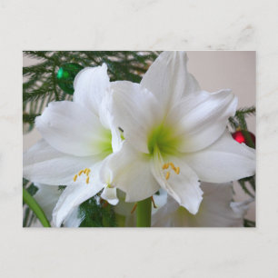 Postal Lirio Amarillo y árbol de Navidad