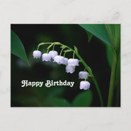 Postal Lirio Blanco de bonito del cumpleaños floral del v
