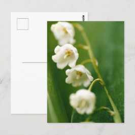 Postal Lirio blanco del valle (Convallaria majalis)
