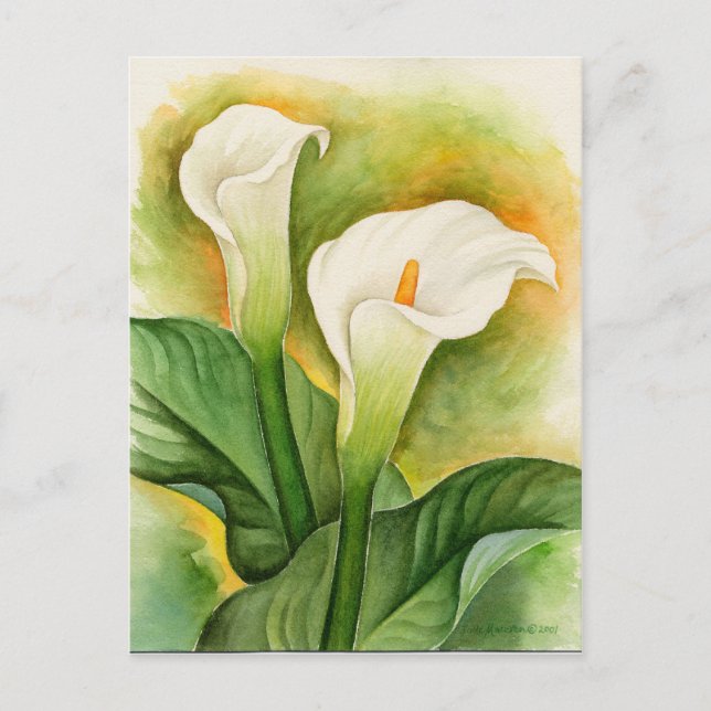 Postal Lirio Cala Blanco Acuarela Floral (Anverso)