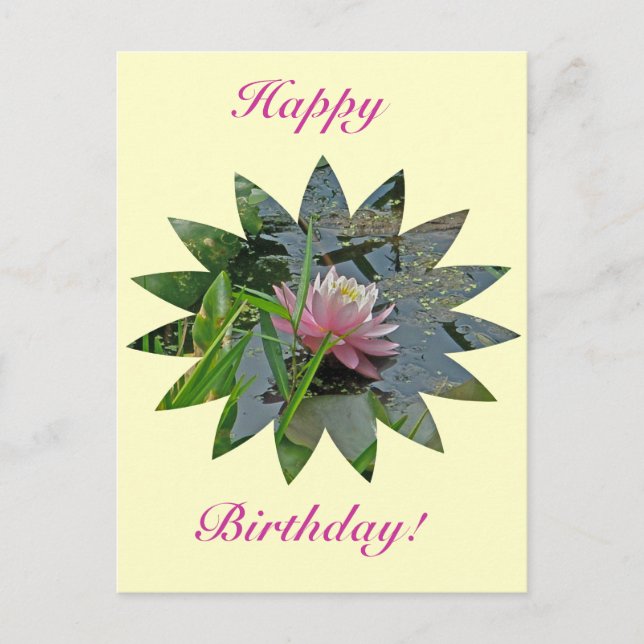 Postal Lirio de agua rosada de cumpleaños (Anverso)