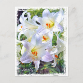 Postal Lirio de Pascua [Tarjeta postal] ポストカード