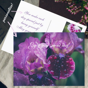 Postal Lirio púrpura después de la lluvia