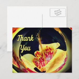 Postal Lirio Visto Resumen Floral Gracias Postcard