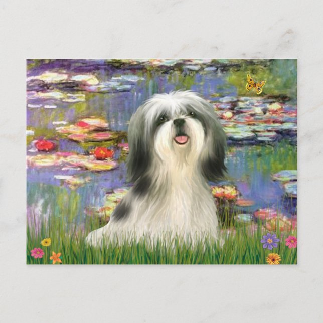 Postal Lirios (#2) - Shih Tzu #3 (Anverso)