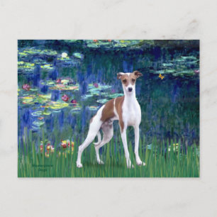 Postal Lirios 5 - Galgo Italiano