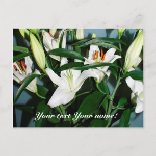 Postal lirios blancos