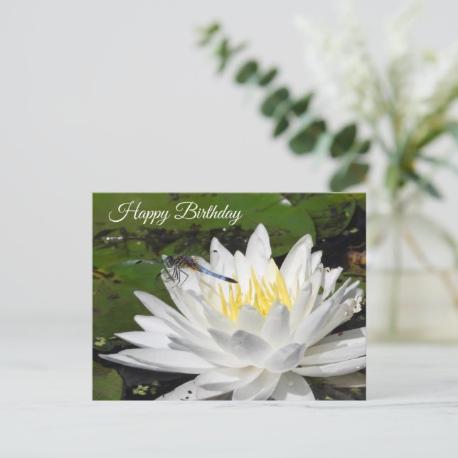 Postal Lirios de Agua Blancos, Cumpleaños de Libélula Azu (Anverso de pie)