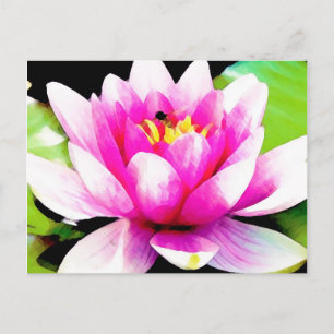 Postal Lirios de agua rosados