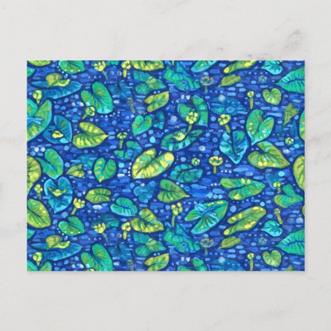 Postal Lirios de Vaca, Nenúfar de Estanque Lirios de Agua (Anverso)