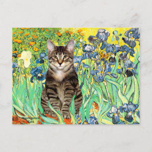 Postal Lirios - gato tigre atigrado 30
