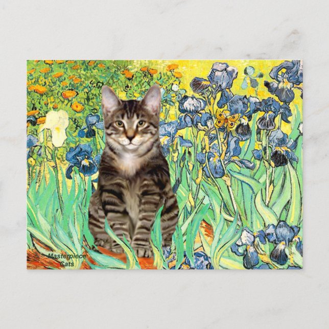 Postal Lirios - gato tigre atigrado 30 (Anverso)
