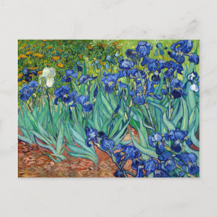 Postal Lirios Vincent van Gogh Pintura Vintage Floral