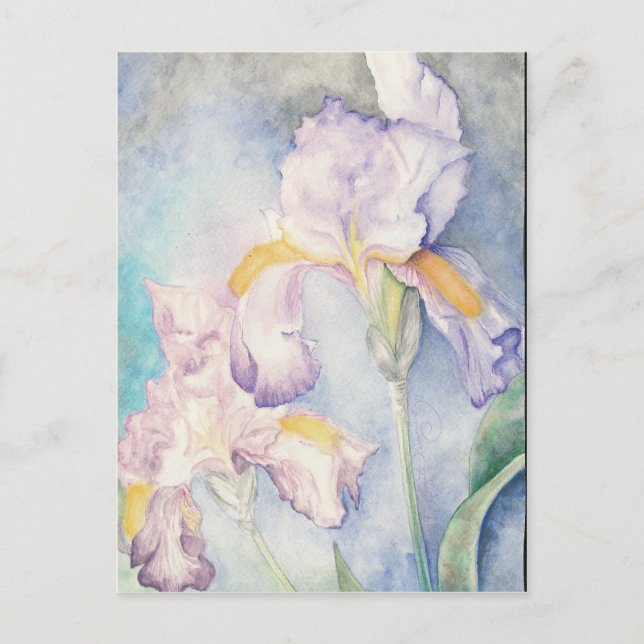 Postal Lisos Iris Floral Acuarela (Anverso)