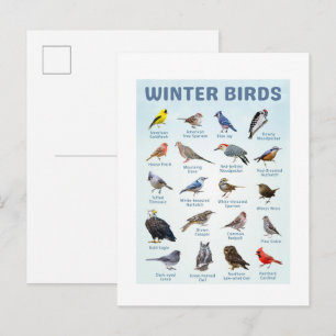 Postal lista de aves invernales Cardenales del Norte, arr