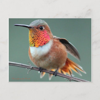 Postal Listo para iniciar