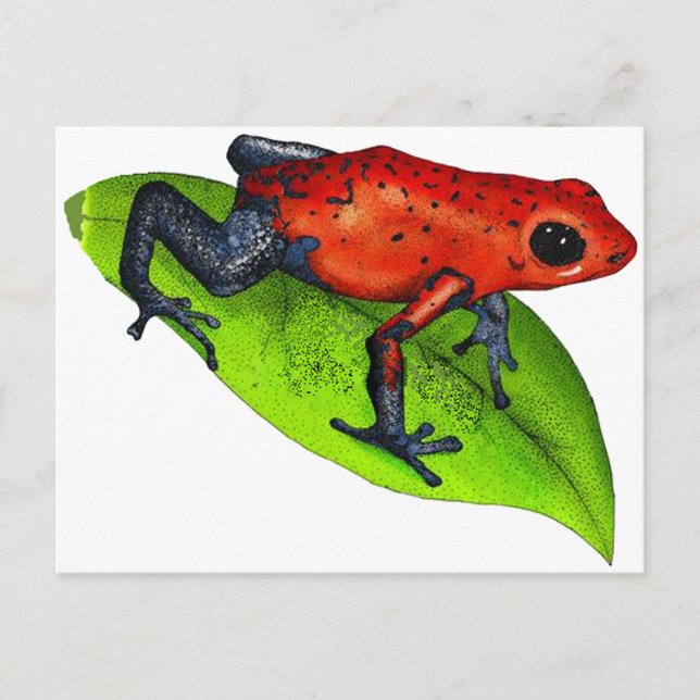 POSTAL LISTO PARA SALTAR (Anverso)