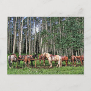 Postal Listo para viajar